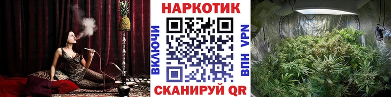 Виды наркотиков купить Бийск КОКАИН АМФЕТАМИН Галлюциногенные грибы ГАШ МАРИХУАНА