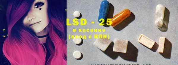 крисы Новозыбков