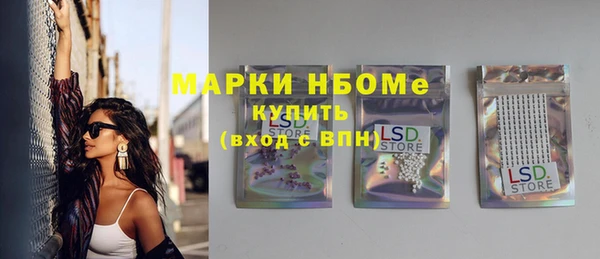 твердый Новодвинск