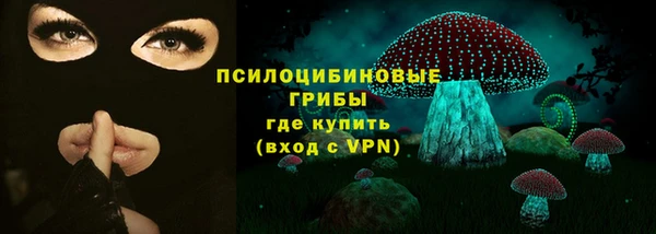 крисы Новозыбков