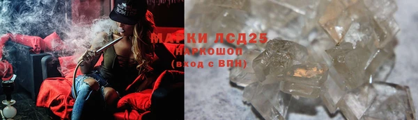 крисы Новозыбков