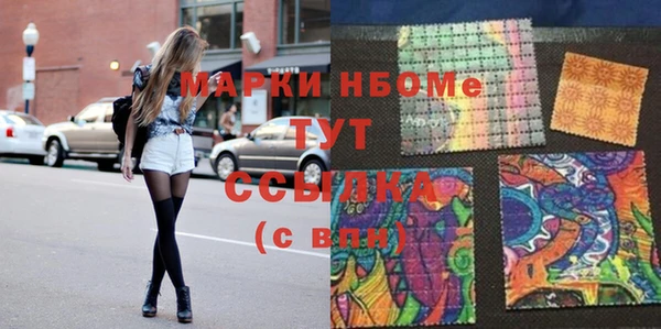 твердый Новодвинск