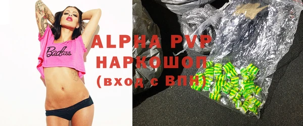 крисы Новозыбков