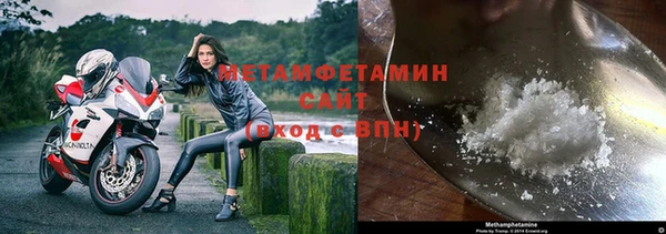 крисы Новозыбков