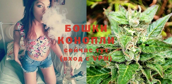 твердый Новодвинск