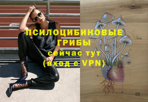 СК Бородино