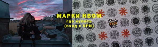 твердый Новодвинск