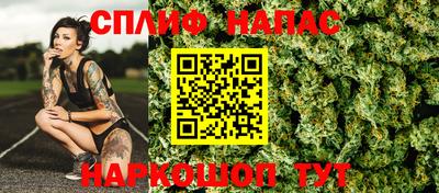 прущие грибы Бийск