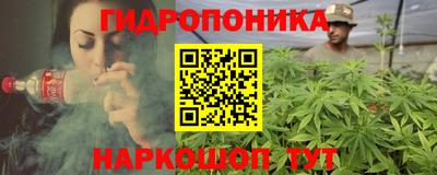 прущие грибы Бийск