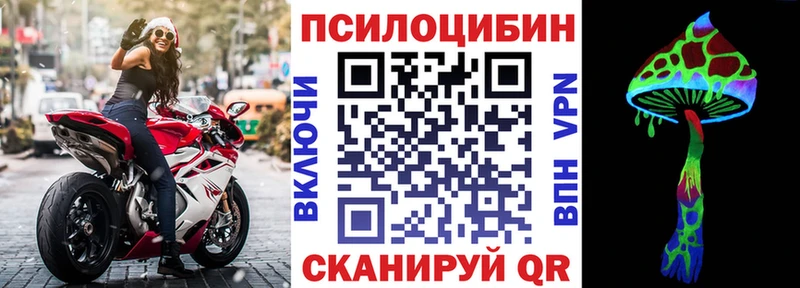 Псилоцибиновые грибы Psilocybe  Бийск 