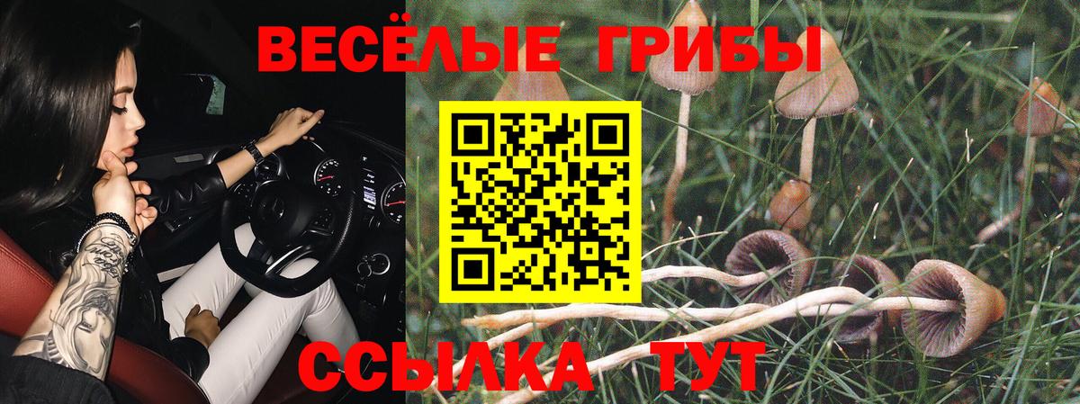 Псилоцибиновые грибы GOLDEN TEACHER  Бийск 